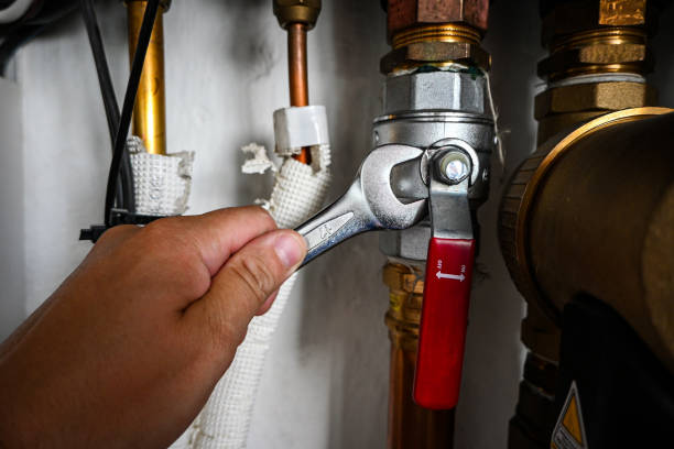 Best Affordable Plumbing Services  in Cashton, WI